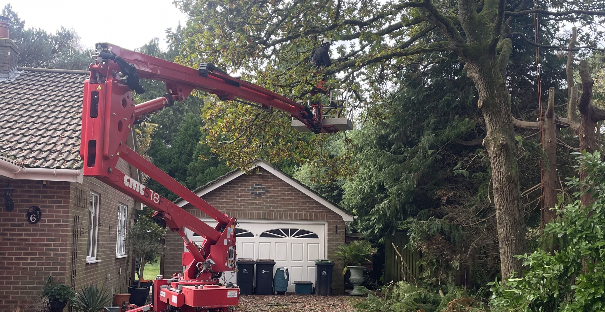 Mark Hooper Tree Care Acquires New MEWP